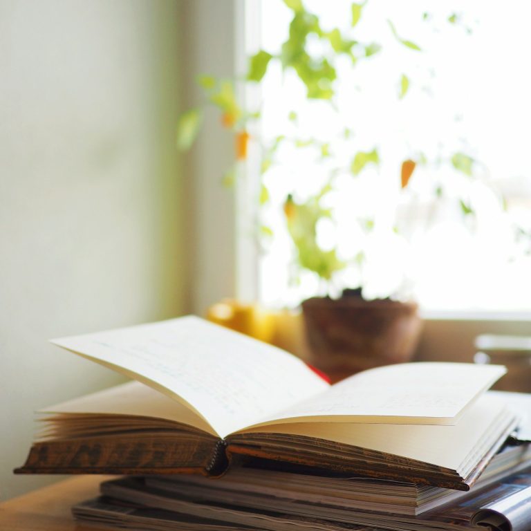 Kurzberatung Pferdefütterung Aufgeschlagenes Notizbuch auf Stapel Bücher vor Fenster mit kleiner Topfpflanze